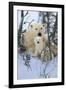 Northern Nursery-Art Wolfe-Framed Art Print