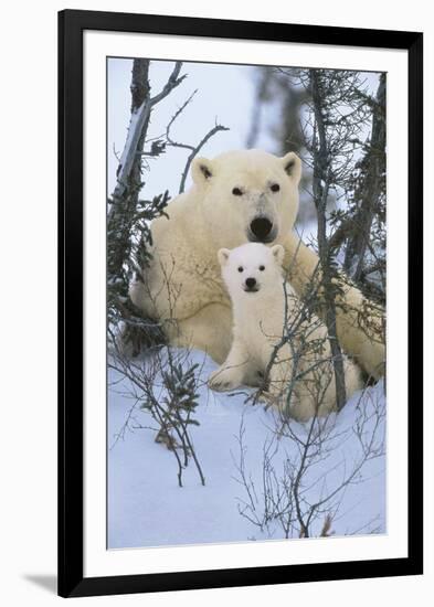 Northern Nursery-Art Wolfe-Framed Giclee Print