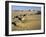 Northern or Libyan Desert in Northwest Sudan Is an Easterly Extension of the Great Sahara Desert-Nigel Pavitt-Framed Photographic Print