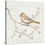 Northern Oriole Vintage-Danhui Nai-Stretched Canvas