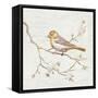 Northern Oriole Vintage-Danhui Nai-Framed Stretched Canvas