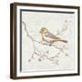 Northern Oriole Vintage-Danhui Nai-Framed Art Print