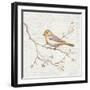 Northern Oriole Vintage-Danhui Nai-Framed Art Print