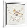 Northern Oriole Vintage-Danhui Nai-Framed Art Print