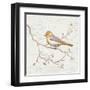 Northern Oriole Vintage-Danhui Nai-Framed Art Print