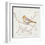 Northern Oriole Vintage-Danhui Nai-Framed Art Print