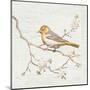 Northern Oriole Vintage-Danhui Nai-Mounted Art Print