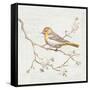 Northern Oriole Vintage-Danhui Nai-Framed Stretched Canvas