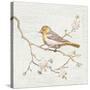 Northern Oriole Vintage-Danhui Nai-Stretched Canvas