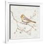 Northern Oriole Vintage-Danhui Nai-Framed Art Print