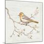 Northern Oriole Vintage-Danhui Nai-Mounted Art Print