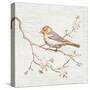 Northern Oriole Vintage-Danhui Nai-Stretched Canvas