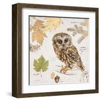 Northern Owl-Chad Barrett-Framed Art Print