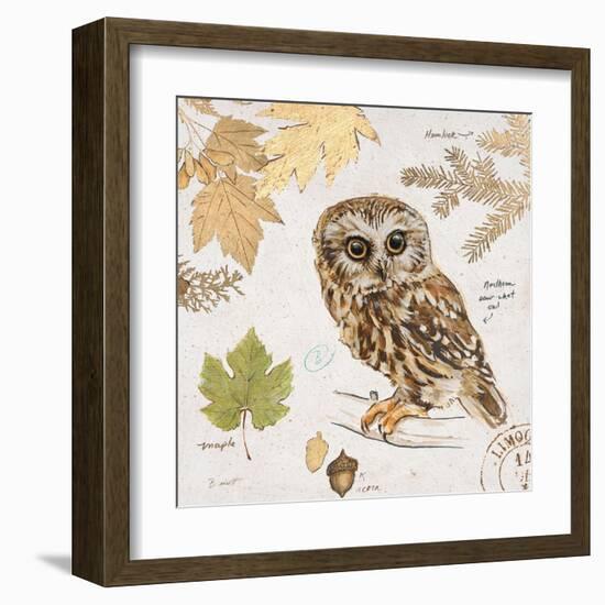 Northern Owl-Chad Barrett-Framed Art Print