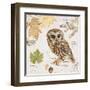 Northern Owl-Chad Barrett-Framed Art Print