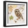 Northern Owl-Chad Barrett-Framed Art Print