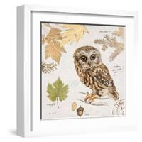 Northern Owl-Chad Barrett-Framed Art Print