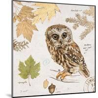Northern Owl-Chad Barrett-Mounted Art Print