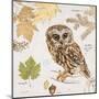 Northern Owl-Chad Barrett-Mounted Art Print