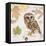 Northern Owl-Chad Barrett-Framed Stretched Canvas