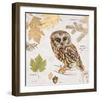 Northern Owl-Chad Barrett-Framed Art Print