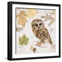 Northern Owl-Chad Barrett-Framed Art Print