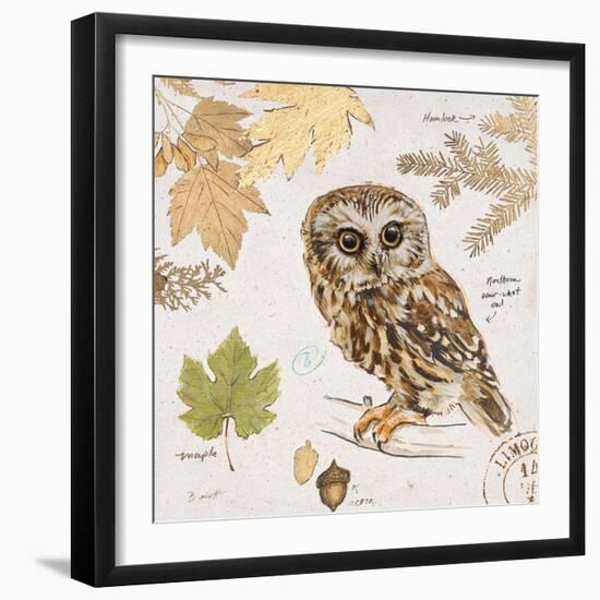 Northern Owl-Chad Barrett-Framed Art Print