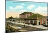 Northern Pacific Depot, Livingston-null-Mounted Art Print