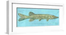 Northern Pike-John Golden-Framed Art Print