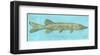 Northern Pike-John Golden-Framed Giclee Print