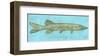 Northern Pike-John Golden-Framed Giclee Print