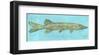 Northern Pike-John W^ Golden-Framed Art Print