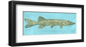 Northern Pike-John W^ Golden-Framed Art Print