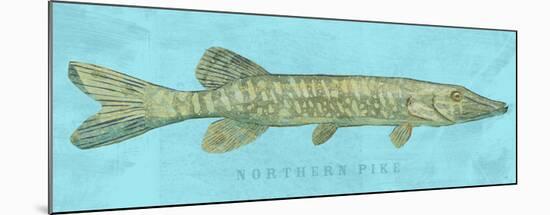 Northern Pike-John W^ Golden-Mounted Art Print