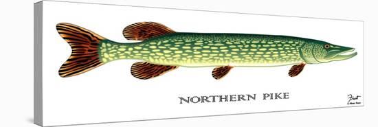 Northern Pike-Mark Frost-Stretched Canvas