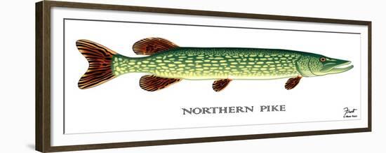 Northern Pike-Mark Frost-Framed Giclee Print