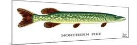 Northern Pike-Mark Frost-Mounted Giclee Print