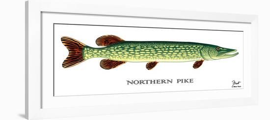 Northern Pike-Mark Frost-Framed Giclee Print