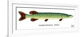 Northern Pike-Mark Frost-Framed Giclee Print