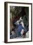 Northern Rockhopper Penguin, Gough Island, South Atlantic-Tui De Roy-Framed Photographic Print