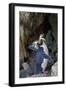 Northern Rockhopper Penguin, Gough Island, South Atlantic-Tui De Roy-Framed Photographic Print