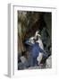 Northern Rockhopper Penguin, Gough Island, South Atlantic-Tui De Roy-Framed Photographic Print