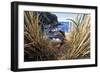 Northern Rockhopper Penguin on nest, Gough Island, South Atlantic-Tui De Roy-Framed Photographic Print