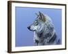 Northern Star-Rusty Frentner-Framed Giclee Print