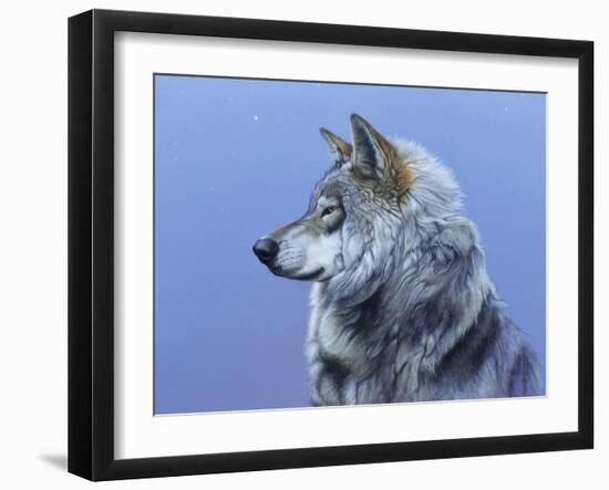 Northern Star-Rusty Frentner-Framed Giclee Print