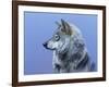 Northern Star-Rusty Frentner-Framed Giclee Print