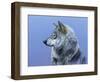 Northern Star-Rusty Frentner-Framed Giclee Print