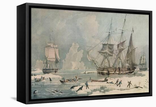 Northern Whale Fishery, c1829-Edward Duncan-Framed Stretched Canvas