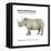 Northern White Rhinoceros (Ceratotherium Simum Cottoni), Mammals-Encyclopaedia Britannica-Framed Stretched Canvas