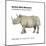 Northern White Rhinoceros (Ceratotherium Simum Cottoni), Mammals-Encyclopaedia Britannica-Mounted Poster